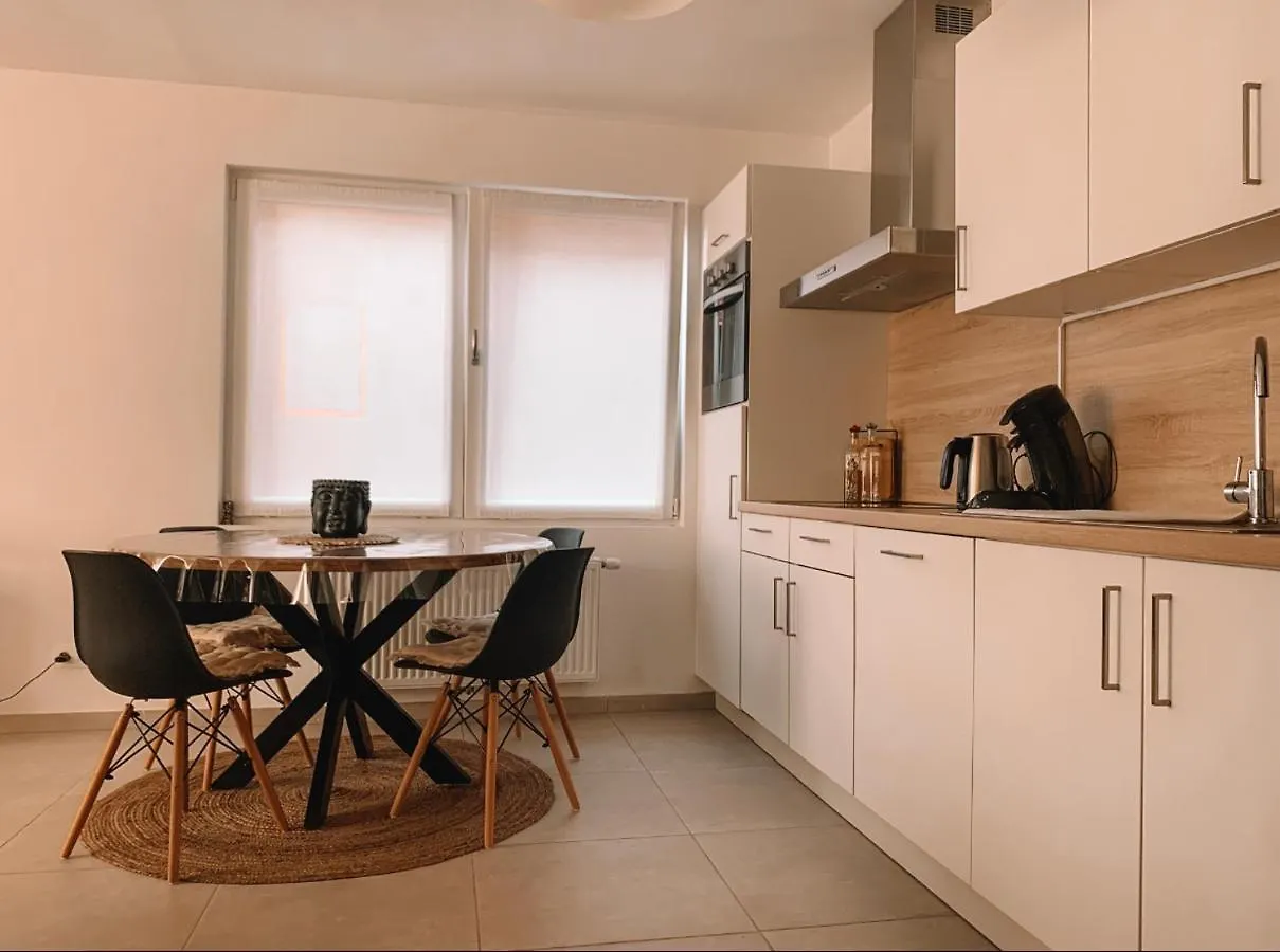 Vintage Dream Apartment Zwijndrecht
