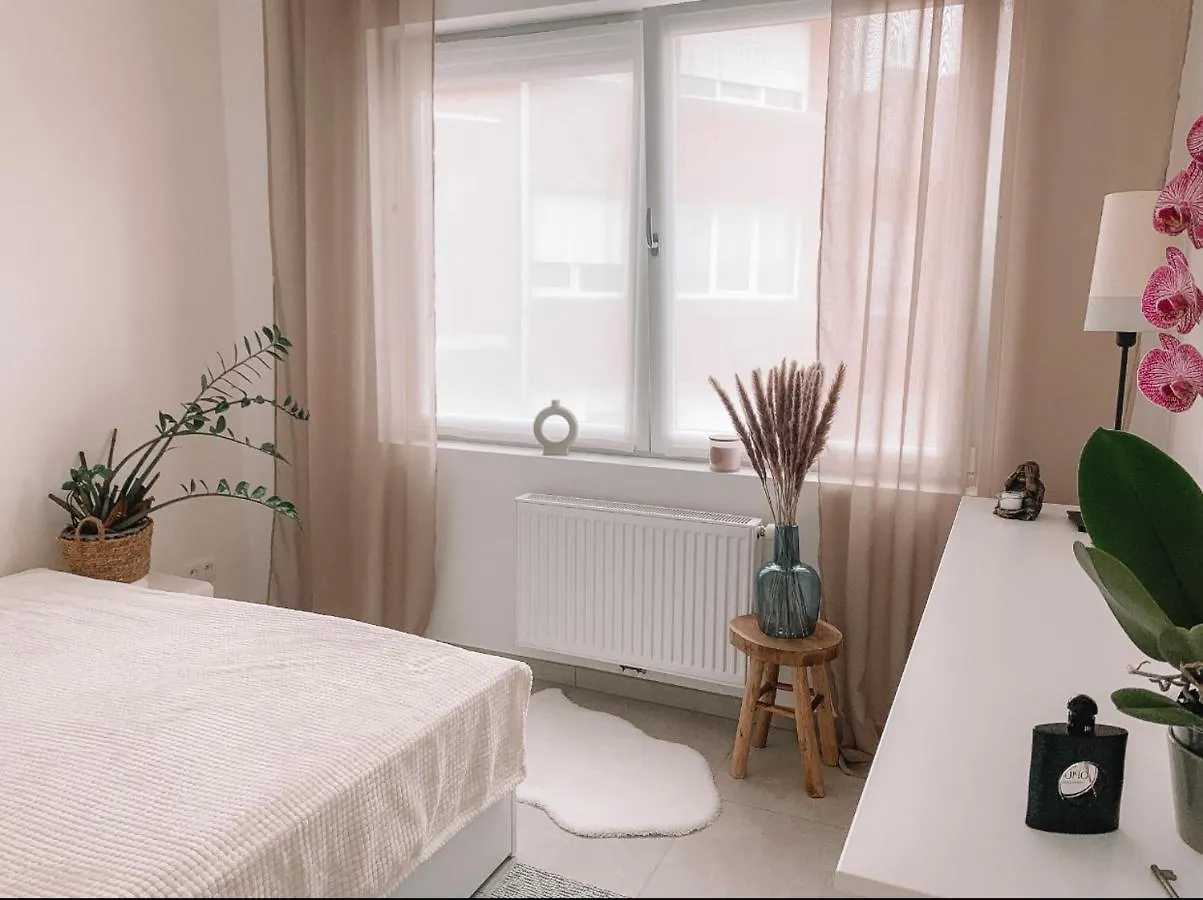 Vintage Dream Apartment Zwijndrecht