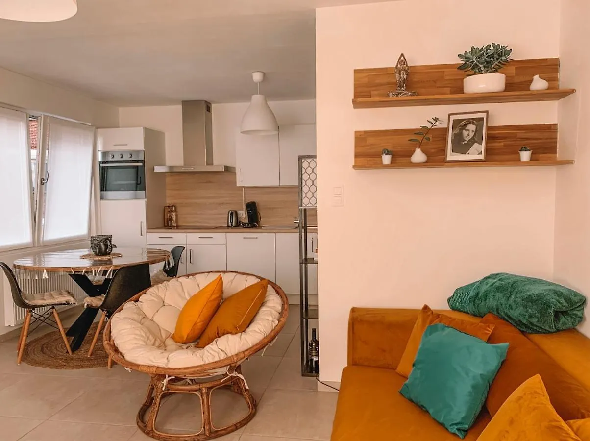 Vintage Dream Apartment Zwijndrecht
