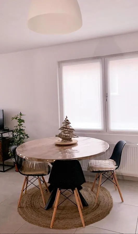 Vintage Dream Apartment Zwijndrecht