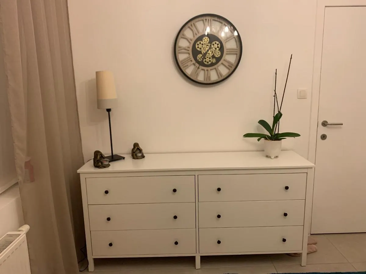 Vintage Dream Apartment Zwijndrecht